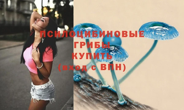 таблы Алексин