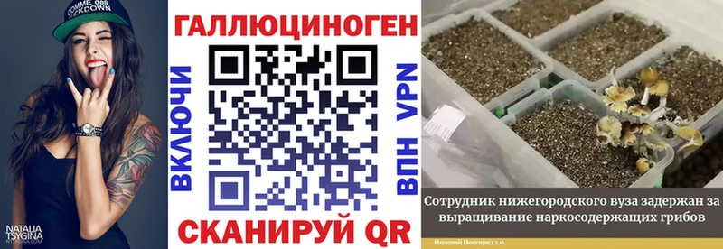 Псилоцибиновые грибы Psilocybine cubensis  Любим 